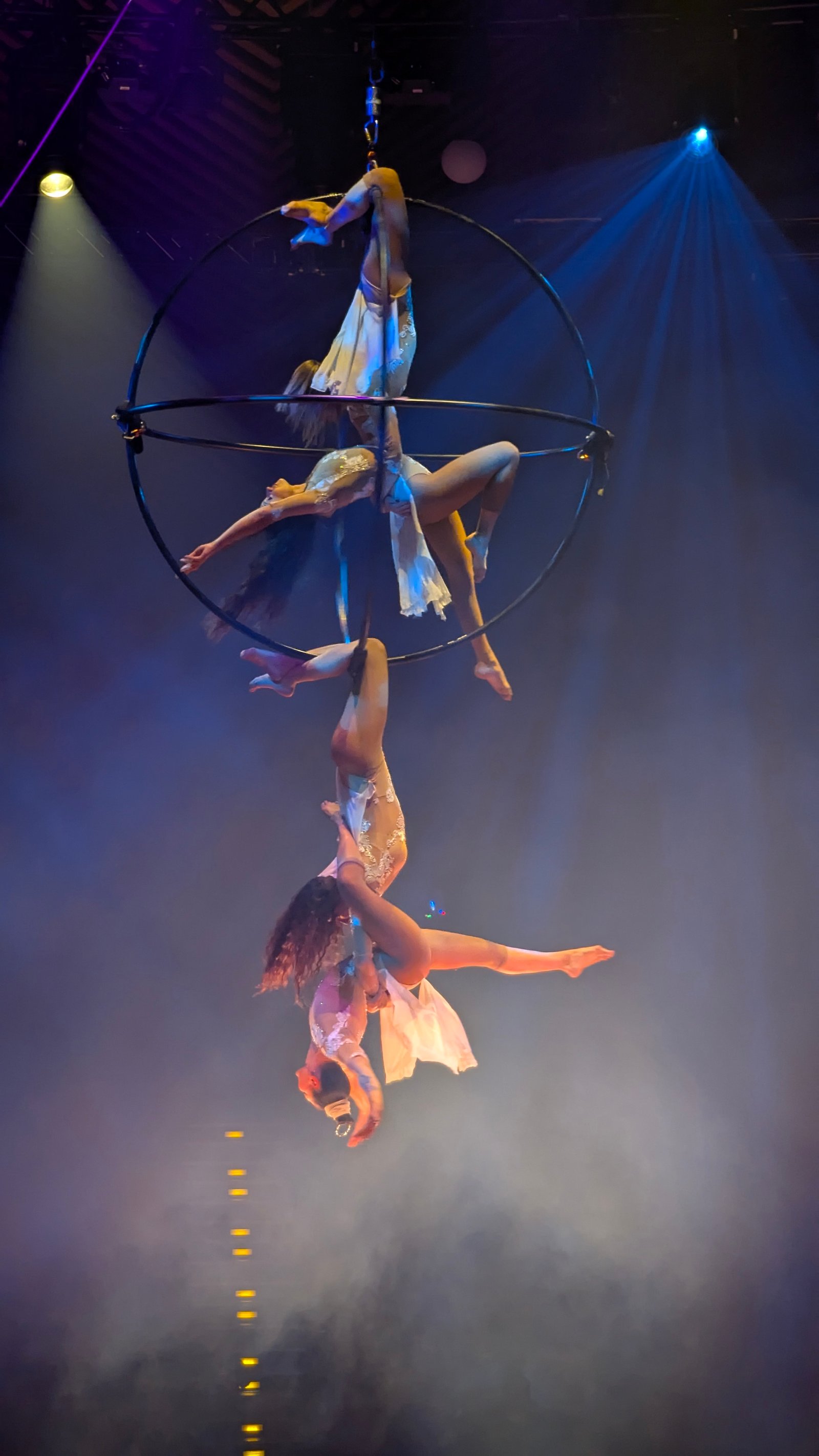 The Roses performance 6