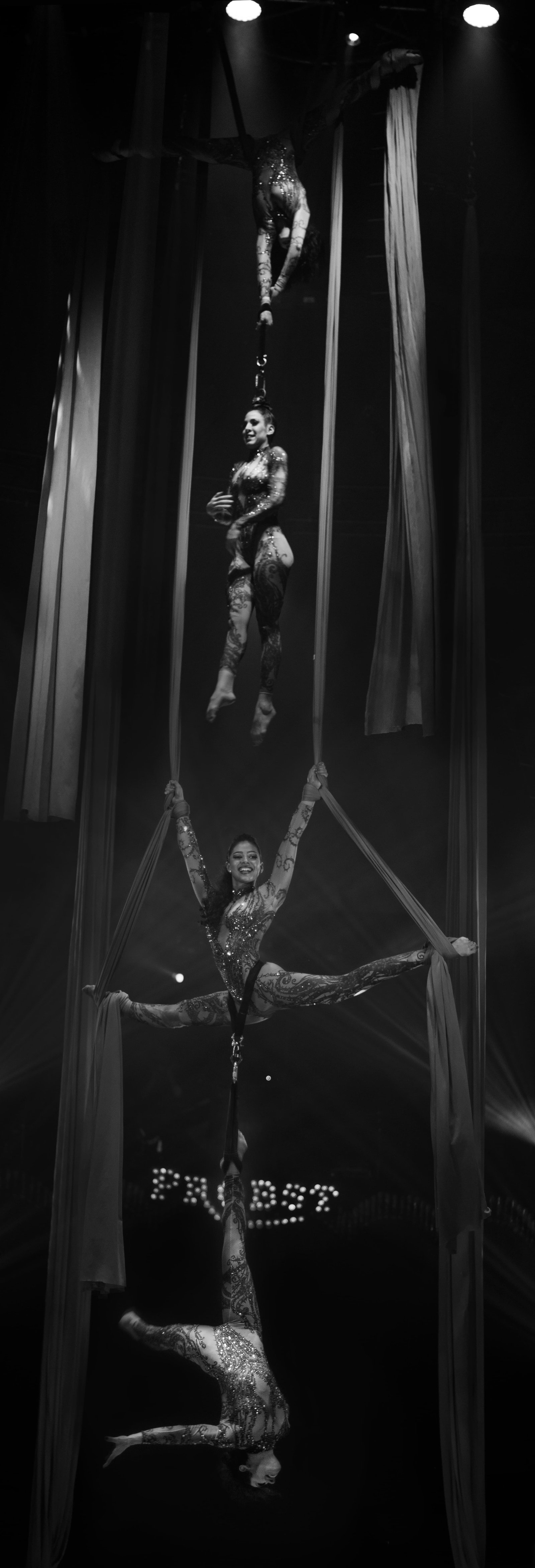 The Roses performance 8